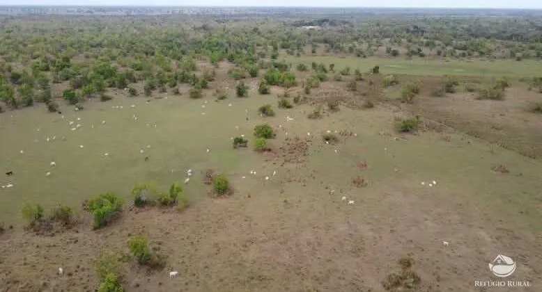 Fazenda à venda de 955 ha em Corumbá, MS, Brasil