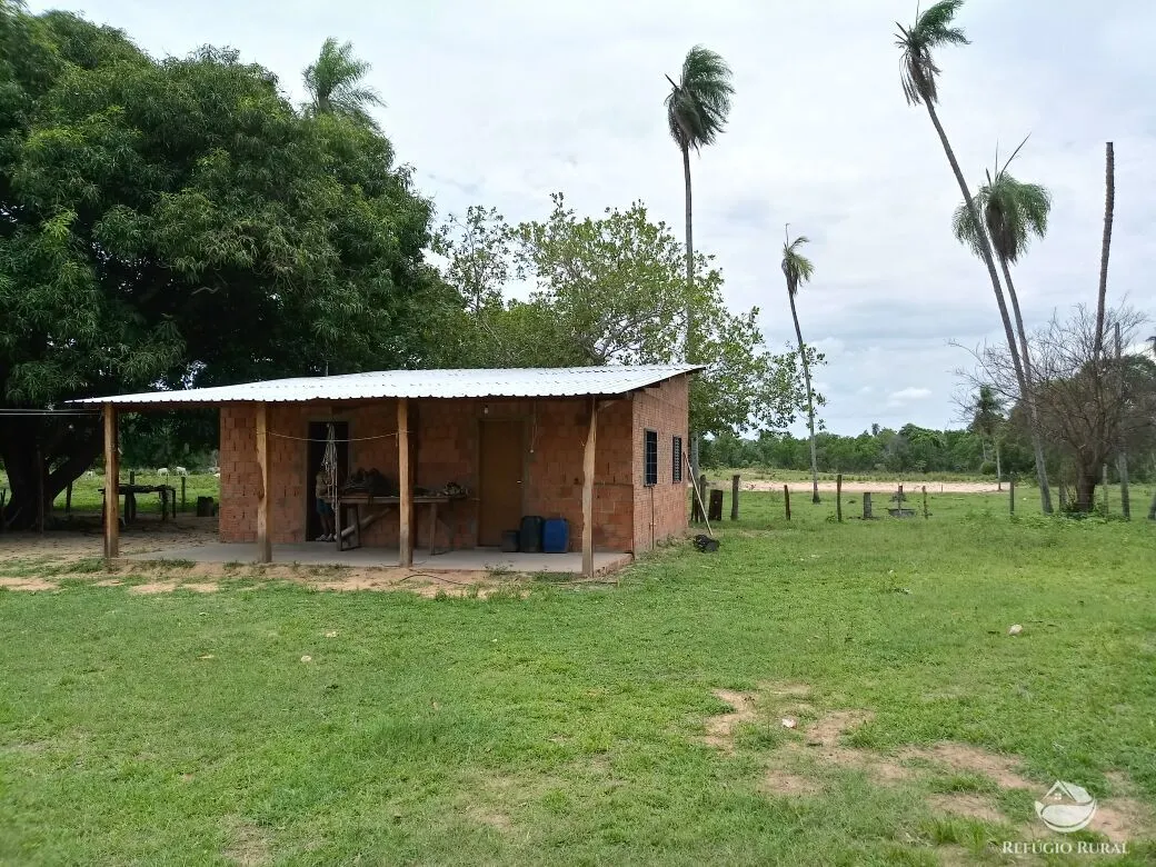 Fazenda à venda de 955 ha em Corumbá, MS, Brasil