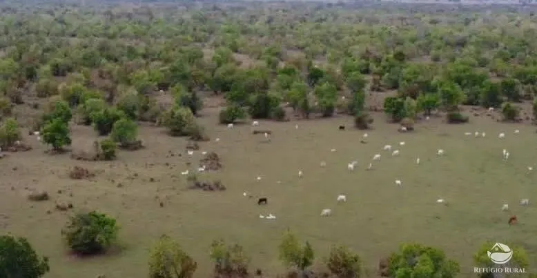 Fazenda à venda de 955 ha em Corumbá, MS, Brasil