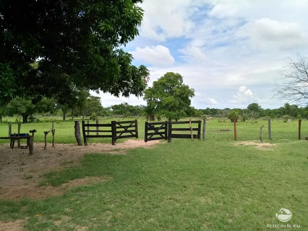 Fazenda à venda de 955 ha em Corumbá, MS, Brasil