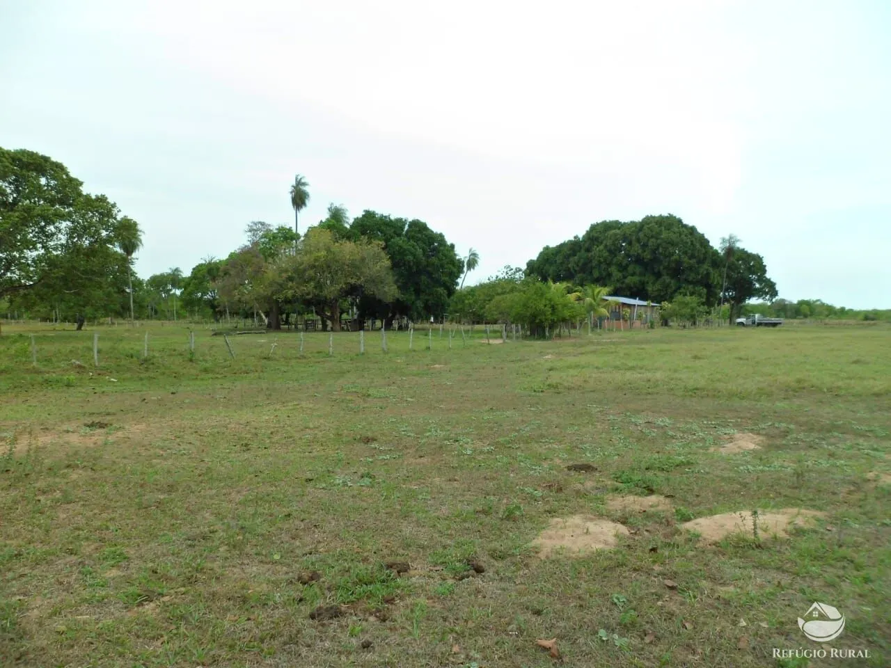 Fazenda à venda de 955 ha em Corumbá, MS, Brasil