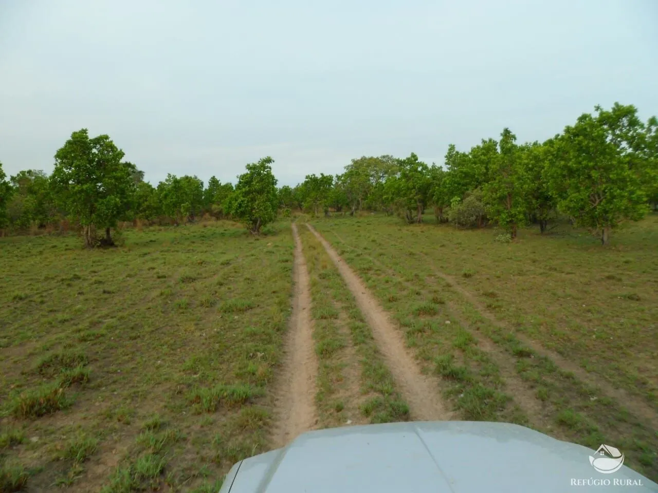 Fazenda à venda de 955 ha em Corumbá, MS, Brasil