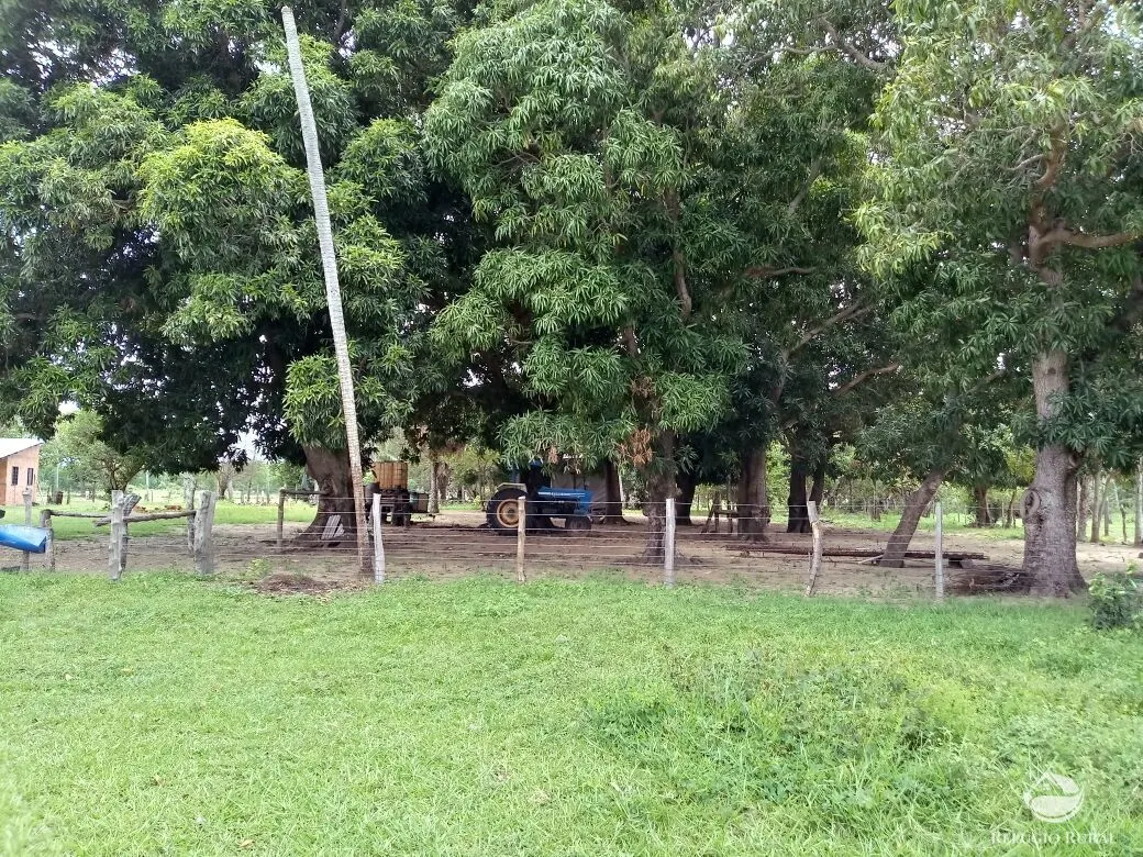 Fazenda à venda de 955 ha em Corumbá, MS, Brasil
