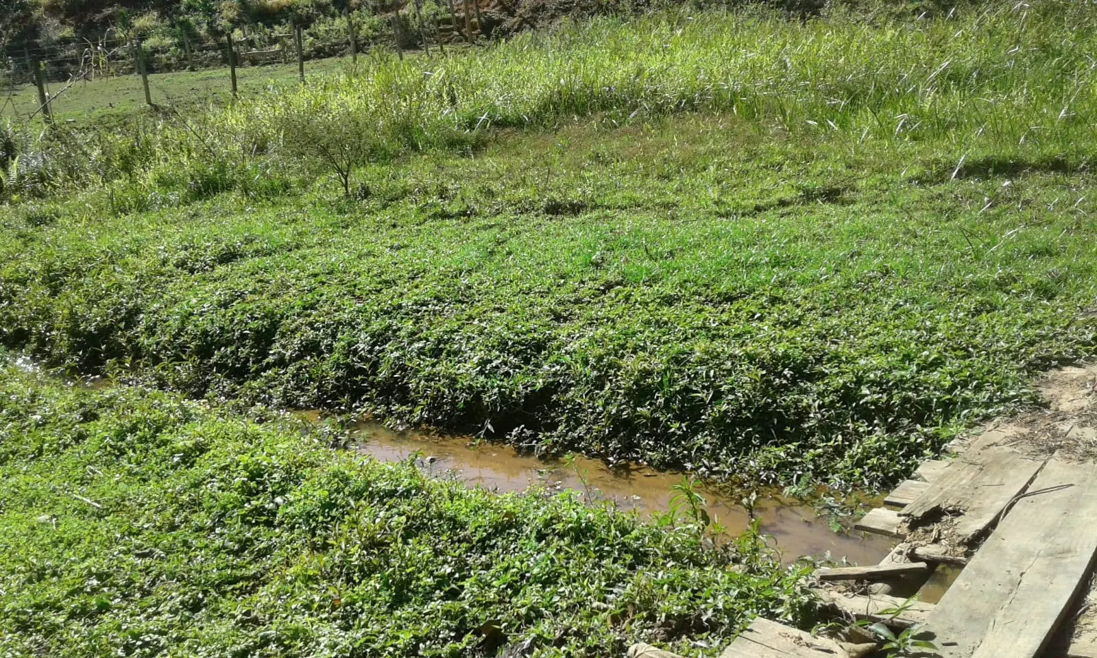 Chácara à venda de 2 ha em São José dos Campos, SP, Brasil