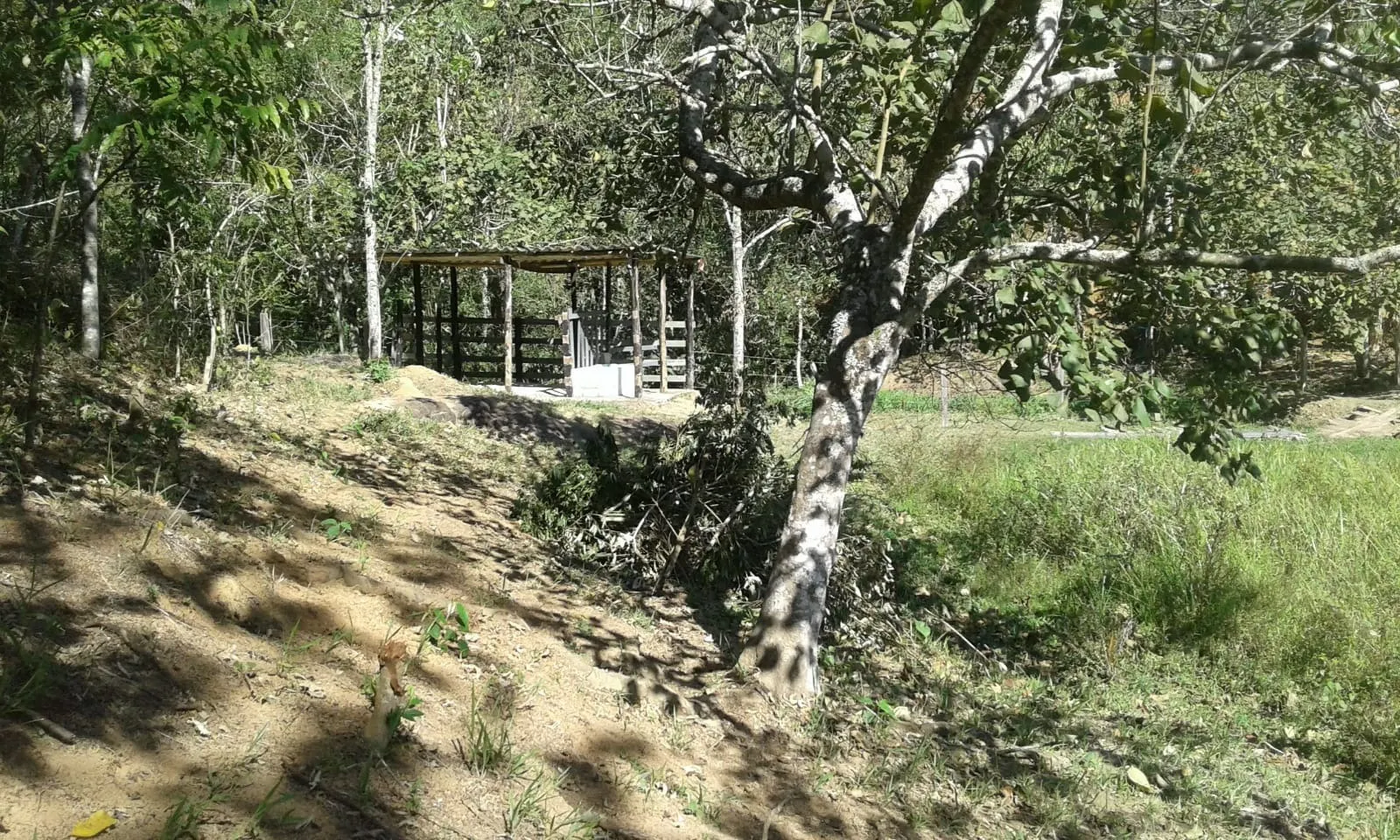 Chácara à venda de 2 ha em São José dos Campos, SP, Brasil