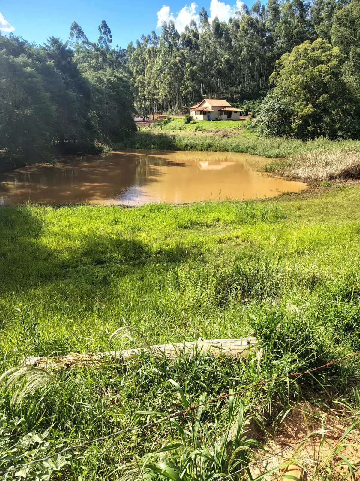 Sítio à venda de 12 ha em Monte Santo de Minas, MG, Brasil