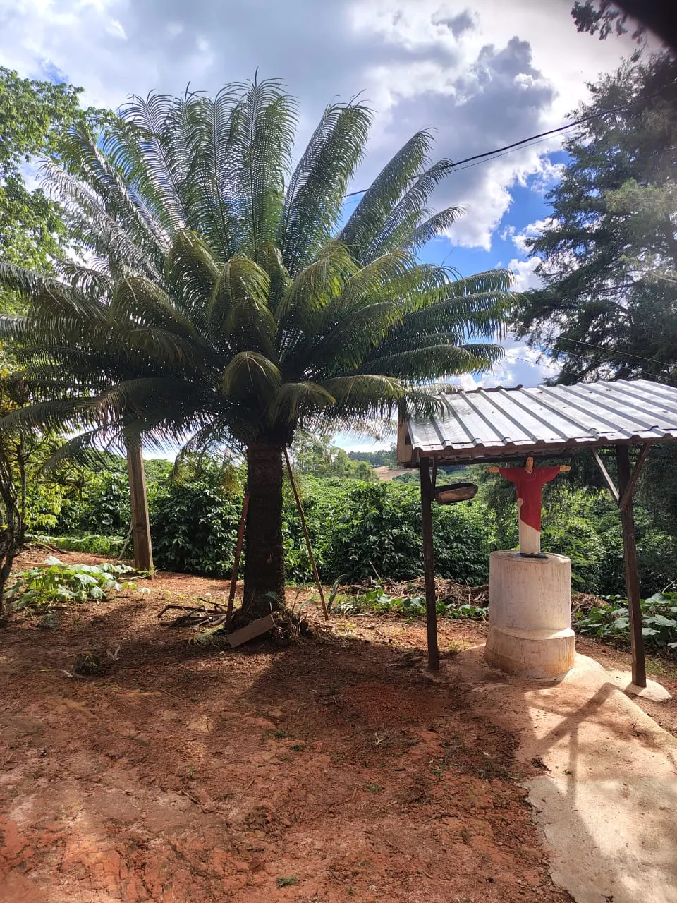 Sítio à venda de 12 ha em Monte Santo de Minas, MG, Brasil