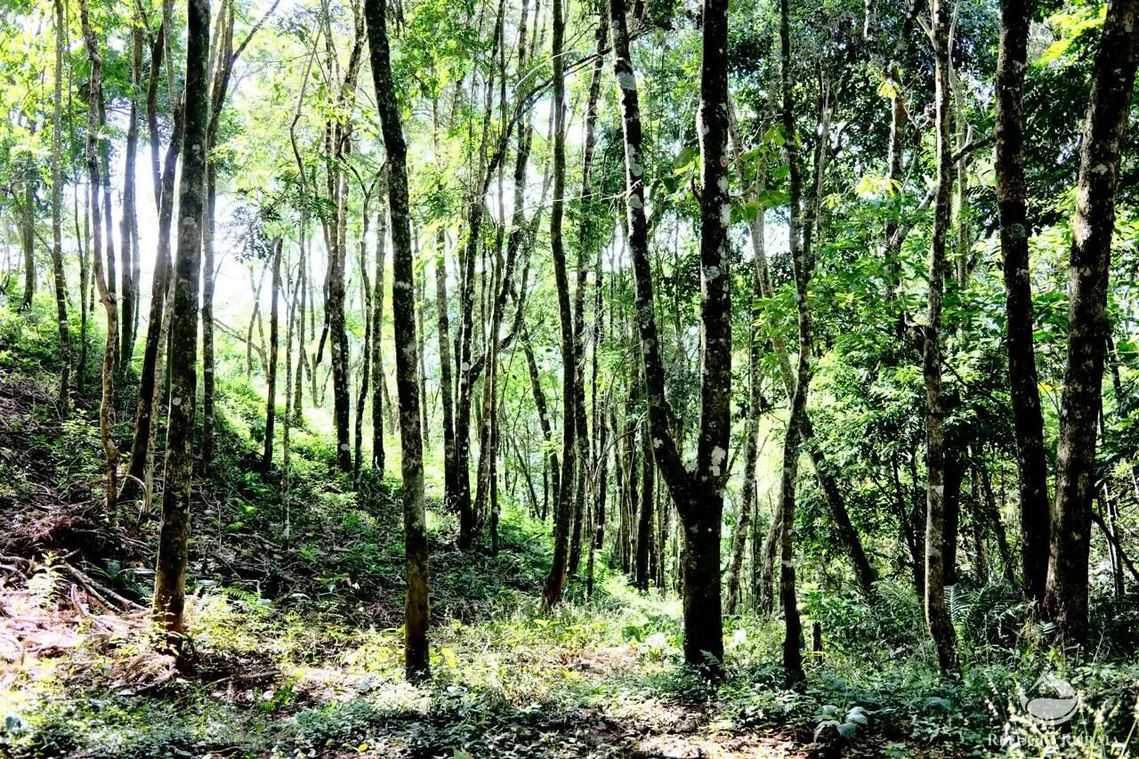 Plot for sale of 5 acres in Sapucaí-Mirim, MG, Brazil