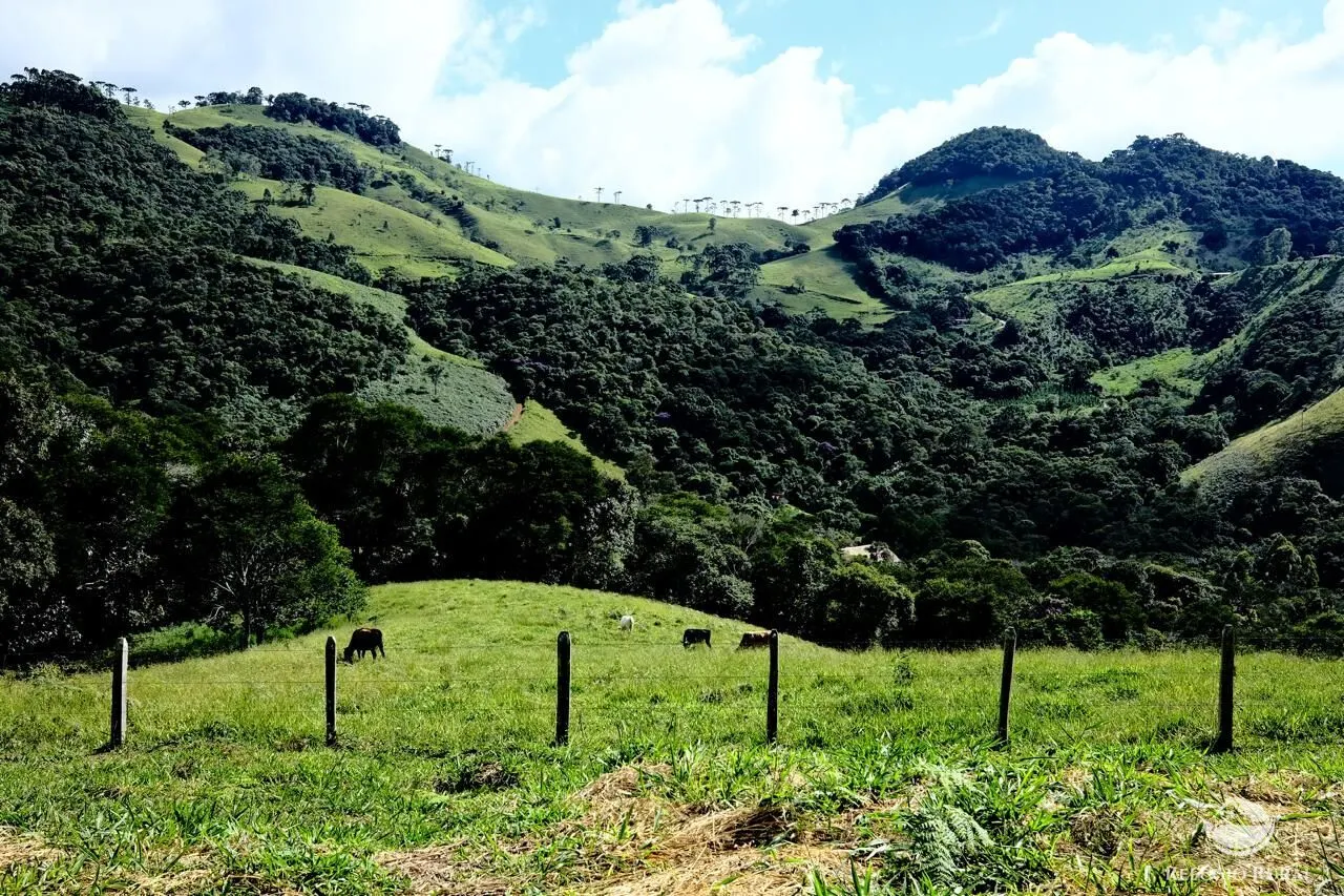 Plot for sale of 5 acres in Sapucaí-Mirim, MG, Brazil