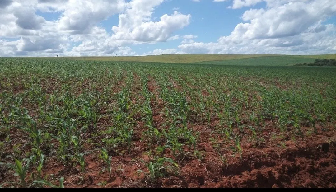 Fazenda à venda de 368 ha em Itararé, SP, Brasil