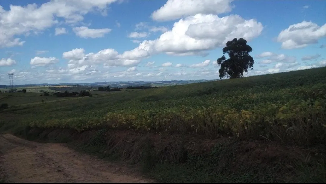 Fazenda à venda de 368 ha em Itararé, SP, Brasil