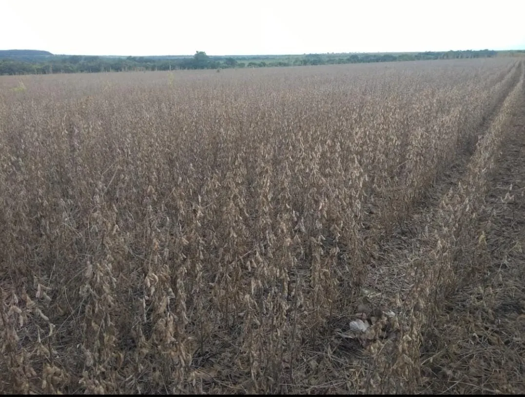 Fazenda à venda de 368 ha em Itararé, SP, Brasil