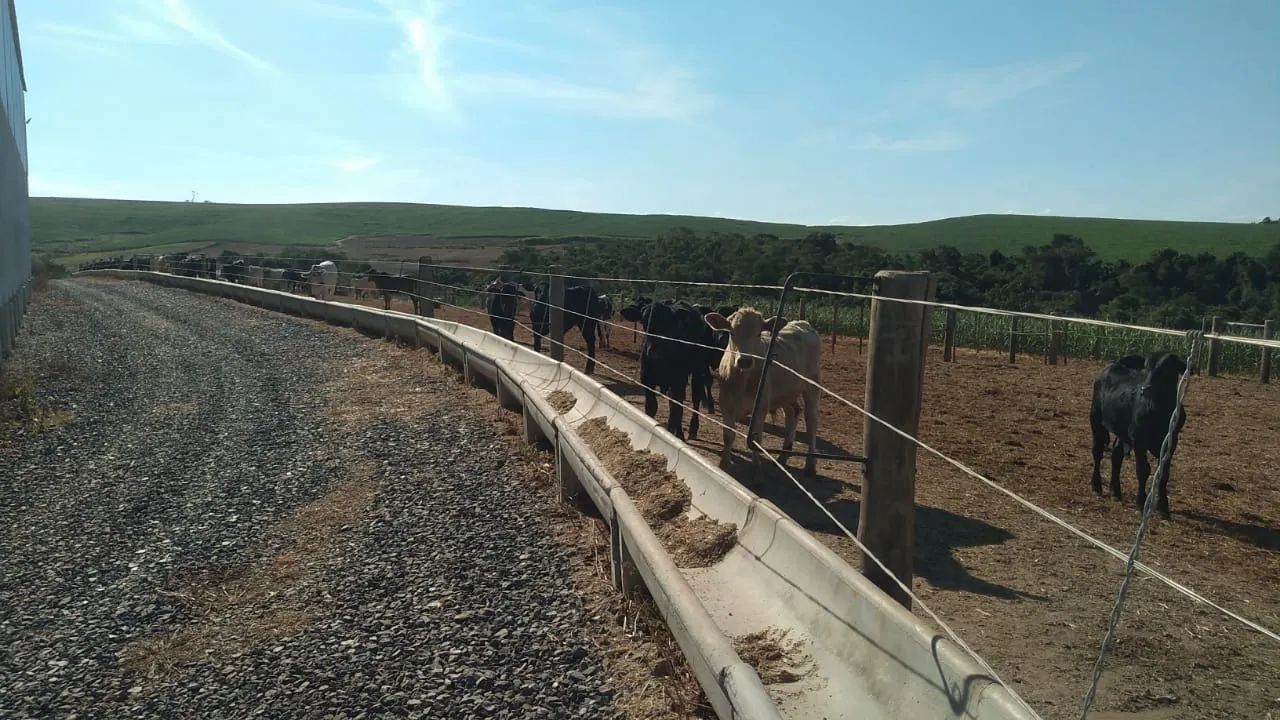 Fazenda à venda de 368 ha em Itararé, SP, Brasil