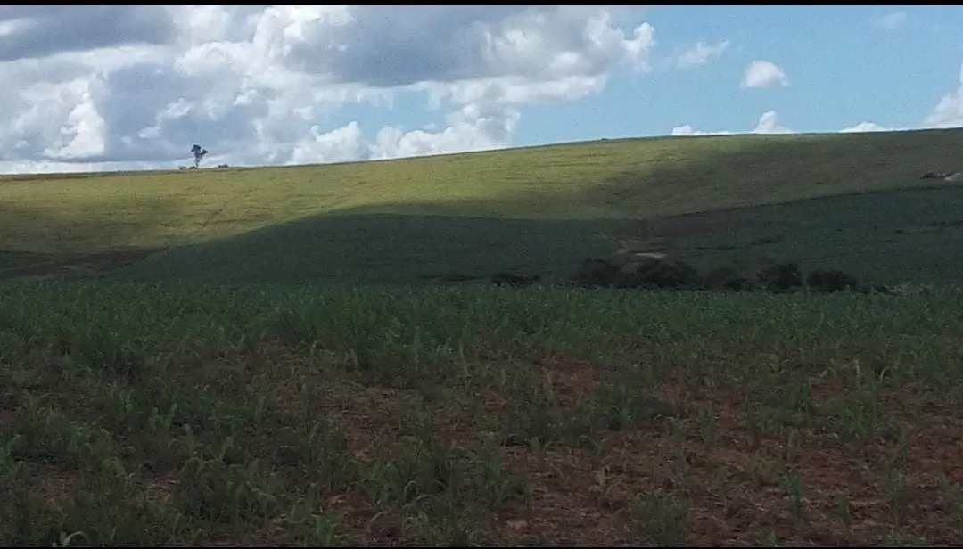 Fazenda à venda de 368 ha em Itararé, SP, Brasil
