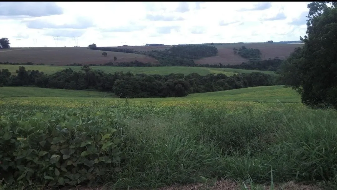 Fazenda à venda de 368 ha em Itararé, SP, Brasil