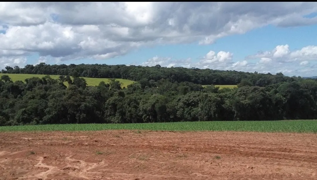 Fazenda à venda de 368 ha em Itararé, SP, Brasil