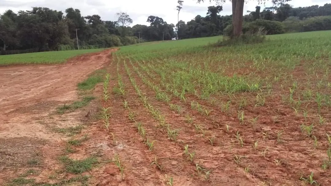 Fazenda à venda de 368 ha em Itararé, SP, Brasil