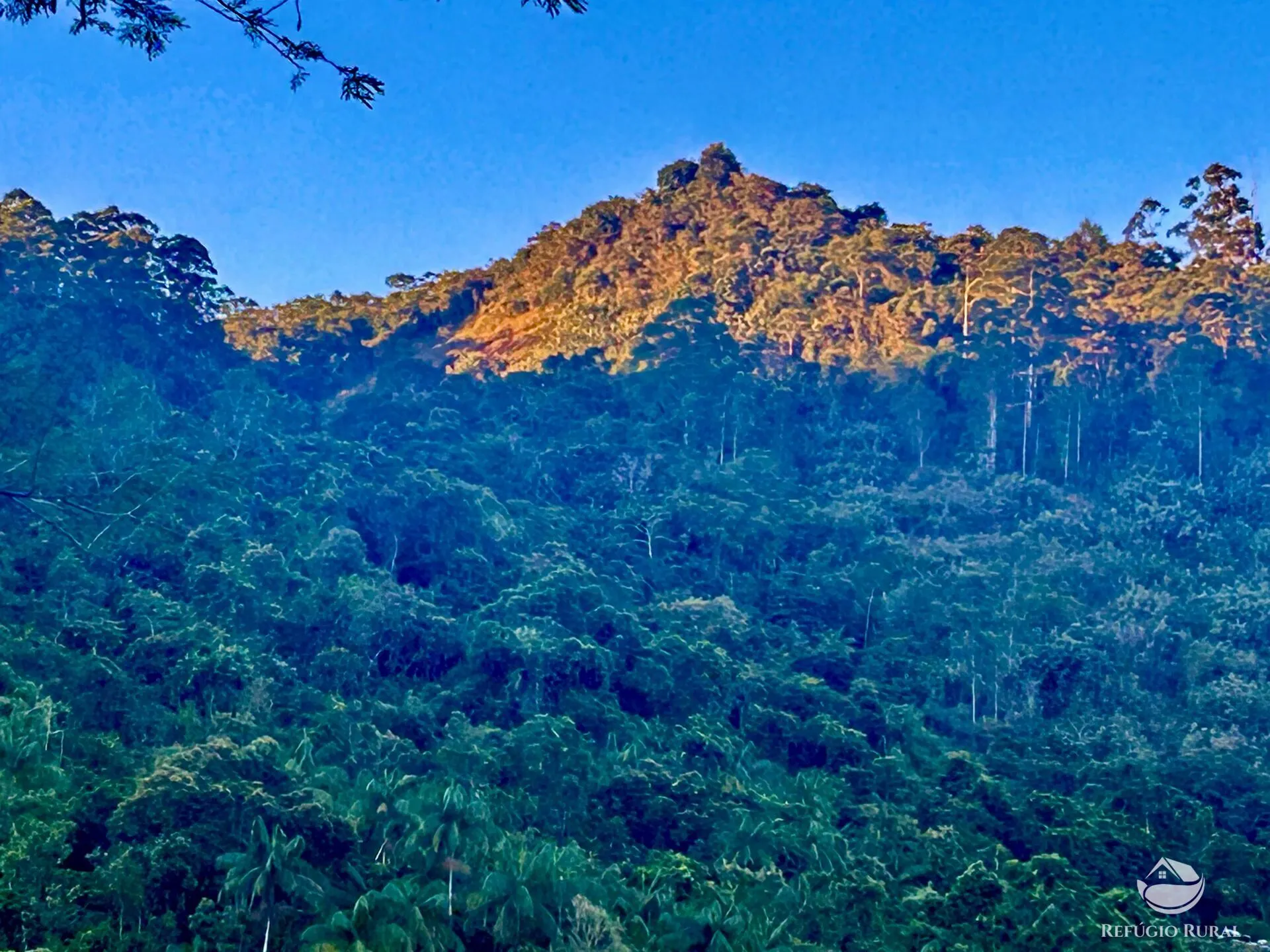 Sítio à venda de 87 ha em São José dos Campos, SP, Brasil