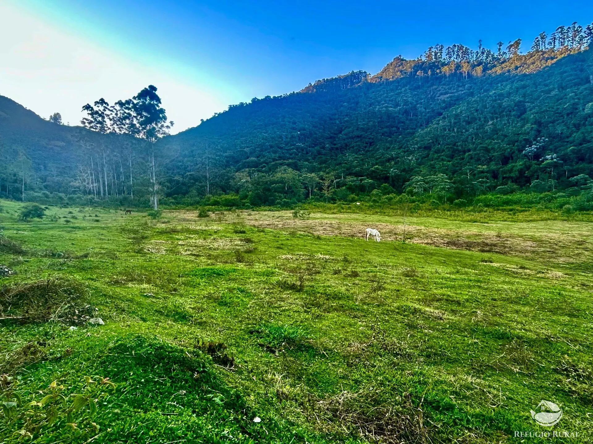 Sítio à venda de 87 ha em São José dos Campos, SP, Brasil