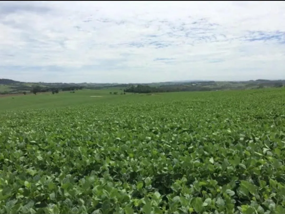 Farm for sale of 293 acres in Itapetininga, SP, Brazil