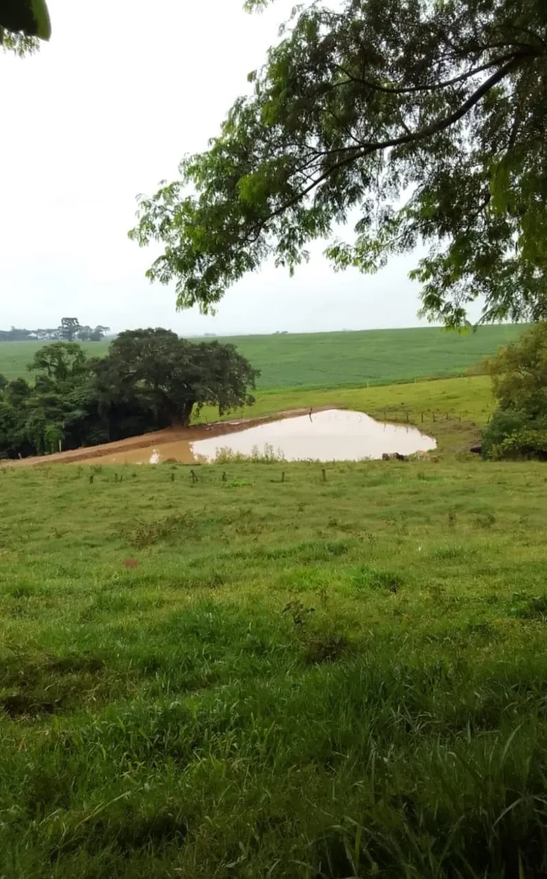 Farm for sale of 293 acres in Itapetininga, SP, Brazil