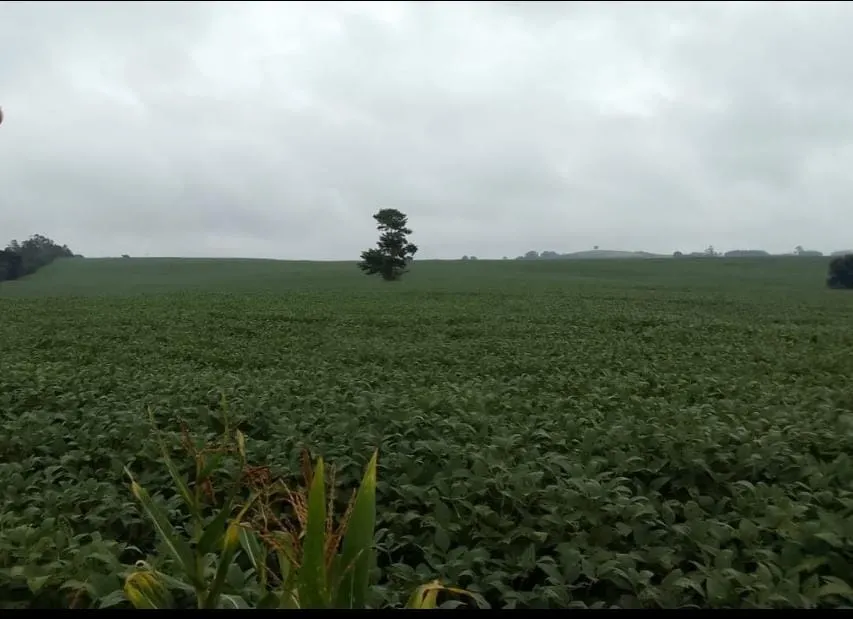 Farm for sale of 293 acres in Itapetininga, SP, Brazil