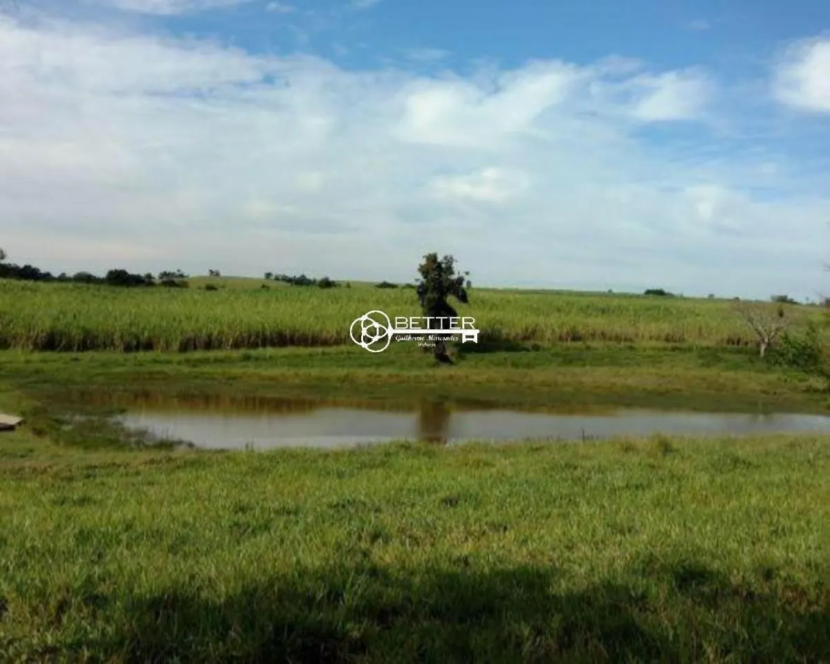 Fazenda à venda de 80 ha em Quadra, SP, Brasil