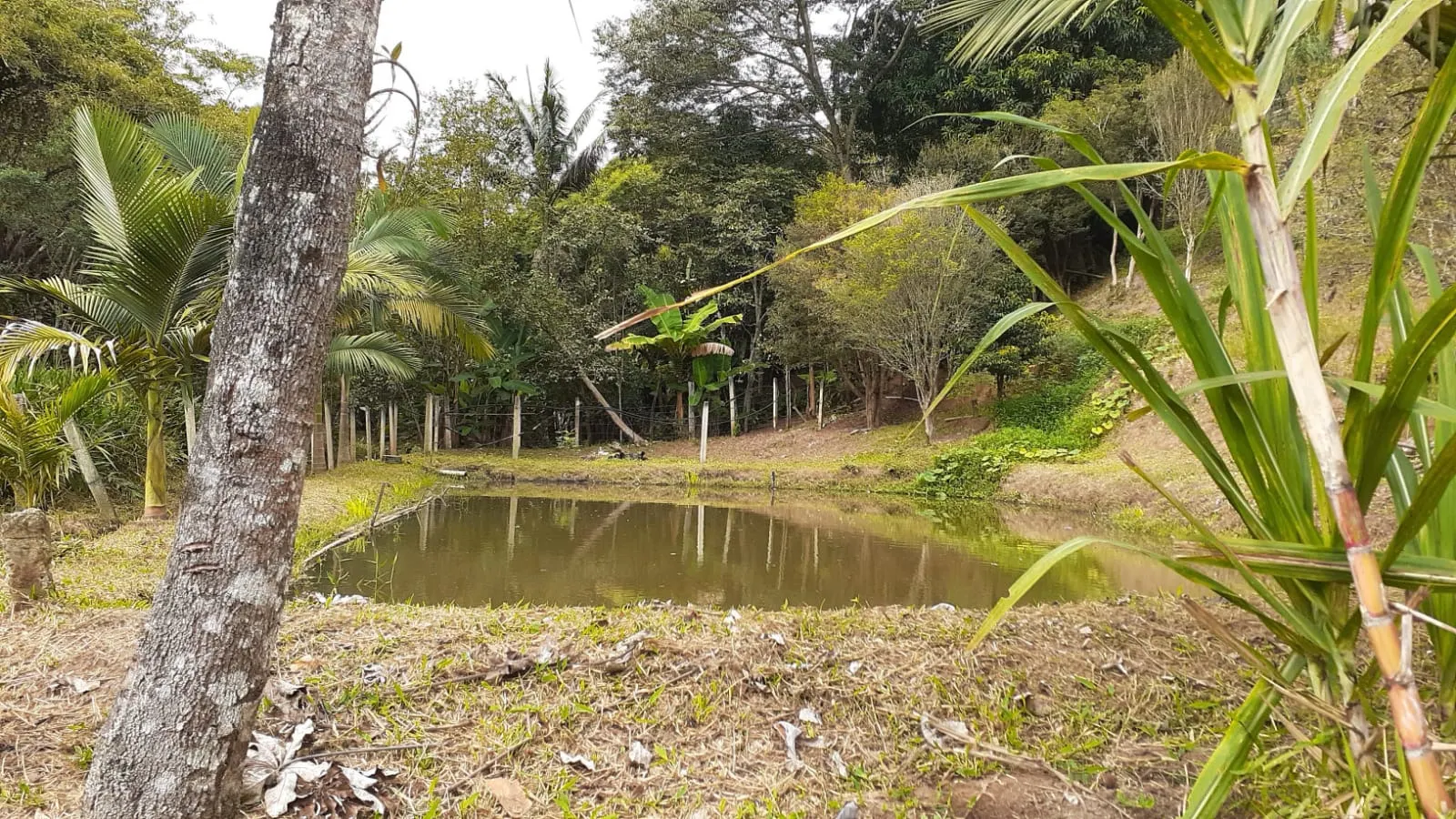 Chácara à venda de 2.000 m² em São José dos Campos, SP, Brasil