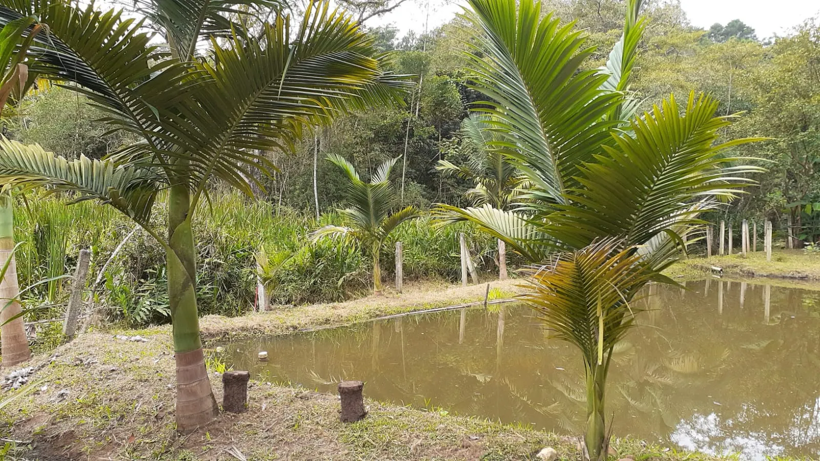 Chácara à venda de 2.000 m² em São José dos Campos, SP, Brasil