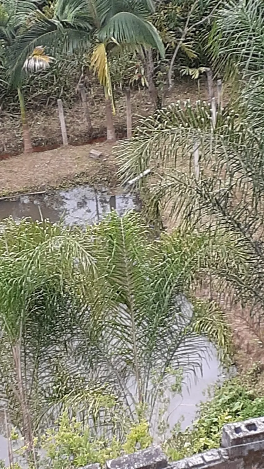Chácara à venda de 2.000 m² em São José dos Campos, SP, Brasil