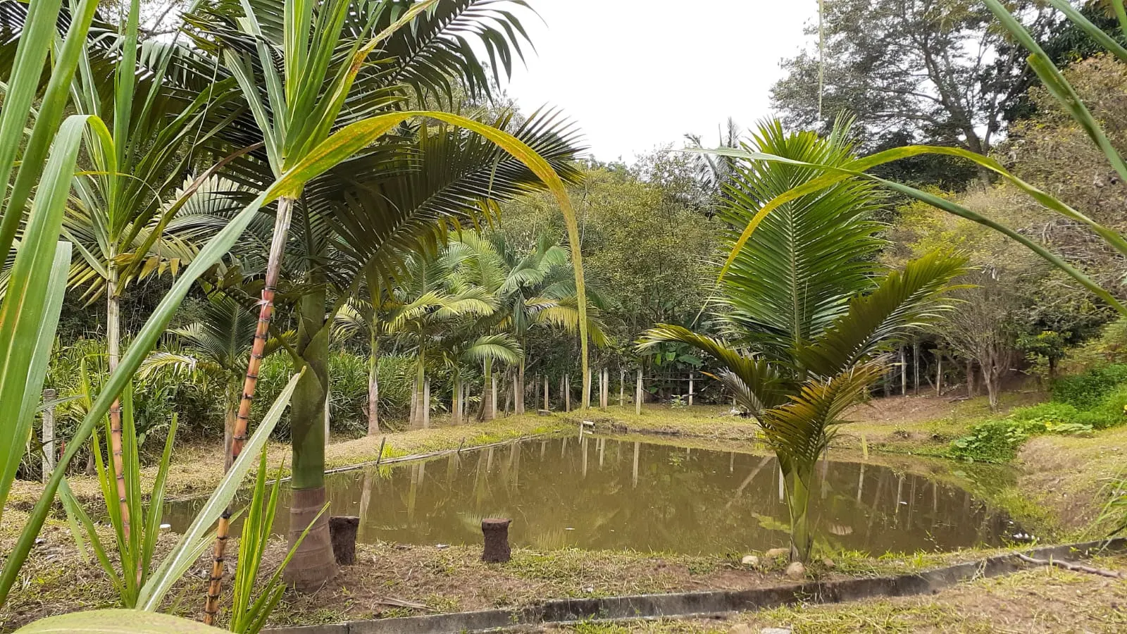 Chácara à venda de 2.000 m² em São José dos Campos, SP, Brasil