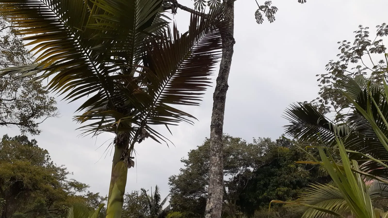 Chácara à venda de 2.000 m² em São José dos Campos, SP, Brasil