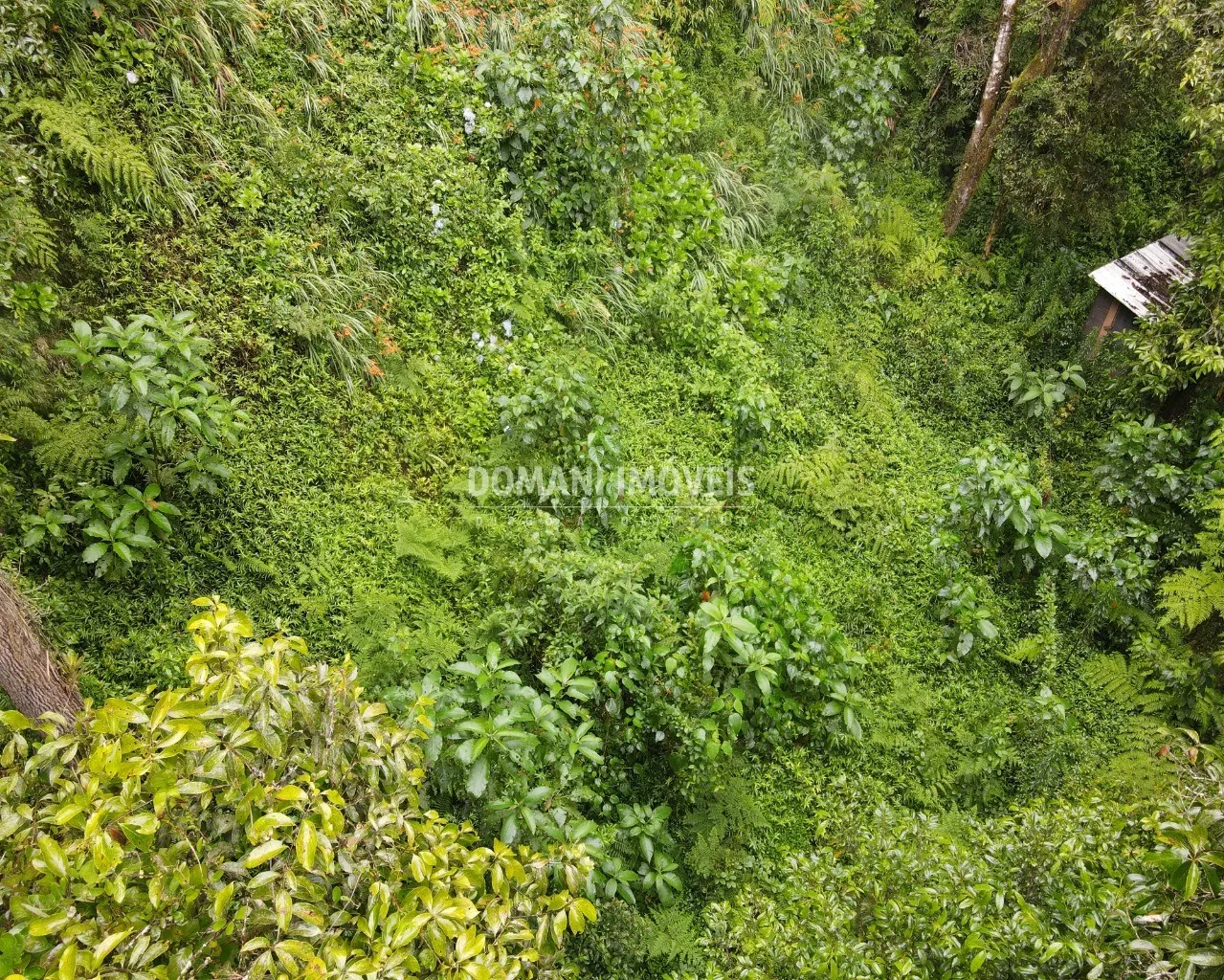 Terreno à venda de 1.300 m² em Campos do Jordão, SP, Brasil