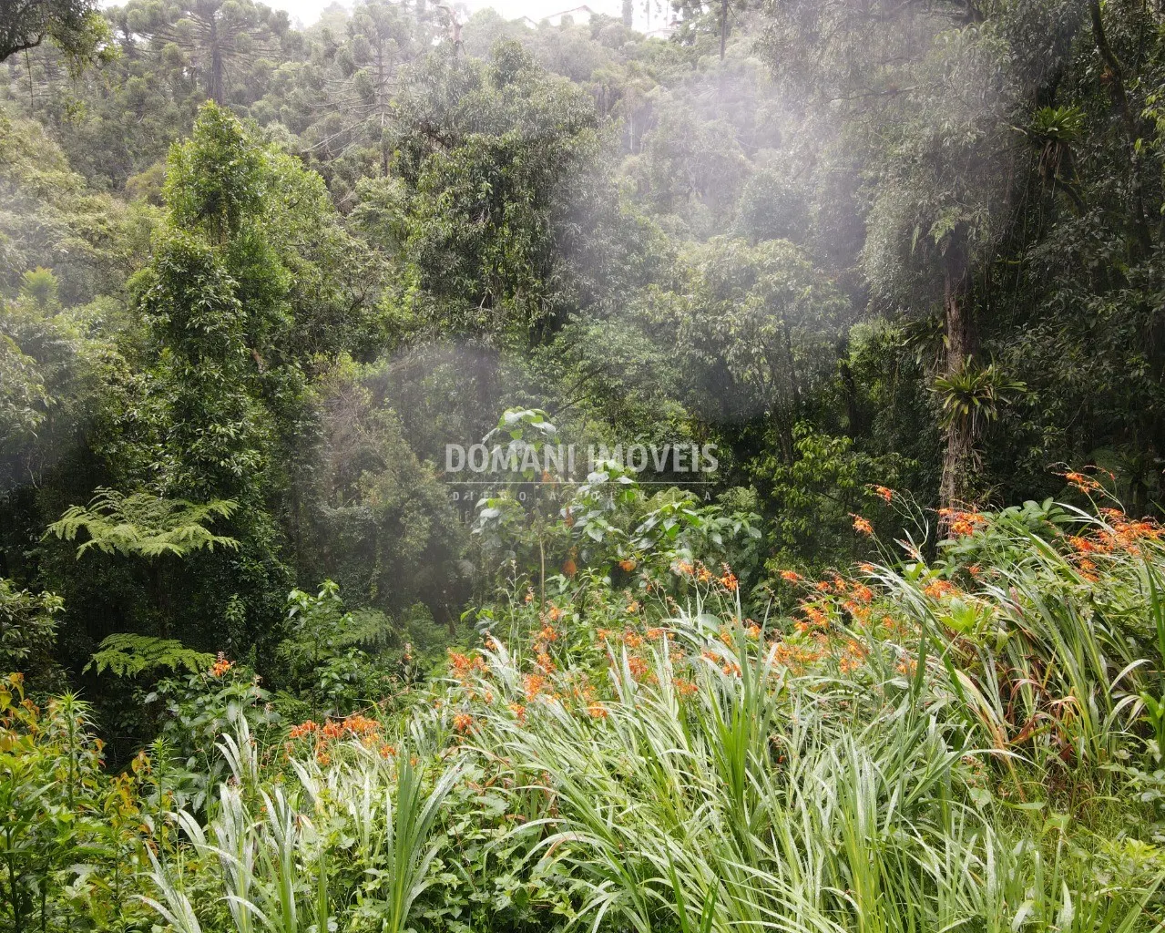 Terreno à venda de 1.300 m² em Campos do Jordão, SP, Brasil