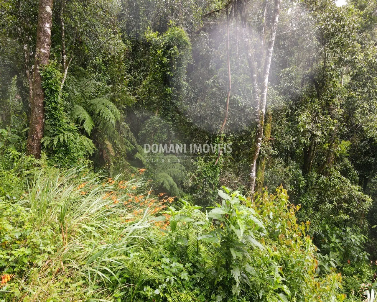 Terreno à venda de 1.300 m² em Campos do Jordão, SP, Brasil