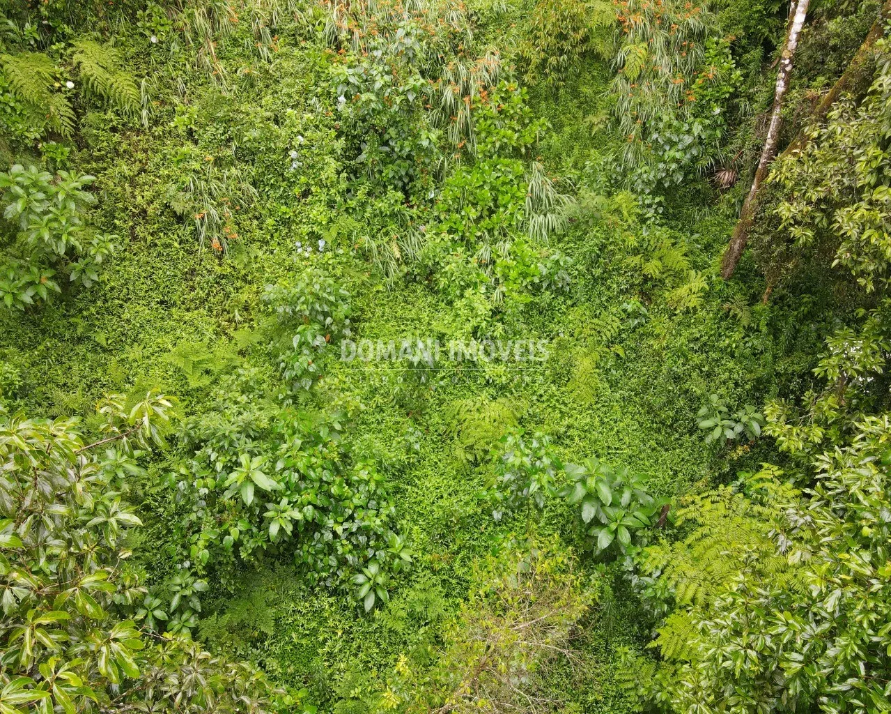 Terreno à venda de 1.300 m² em Campos do Jordão, SP, Brasil