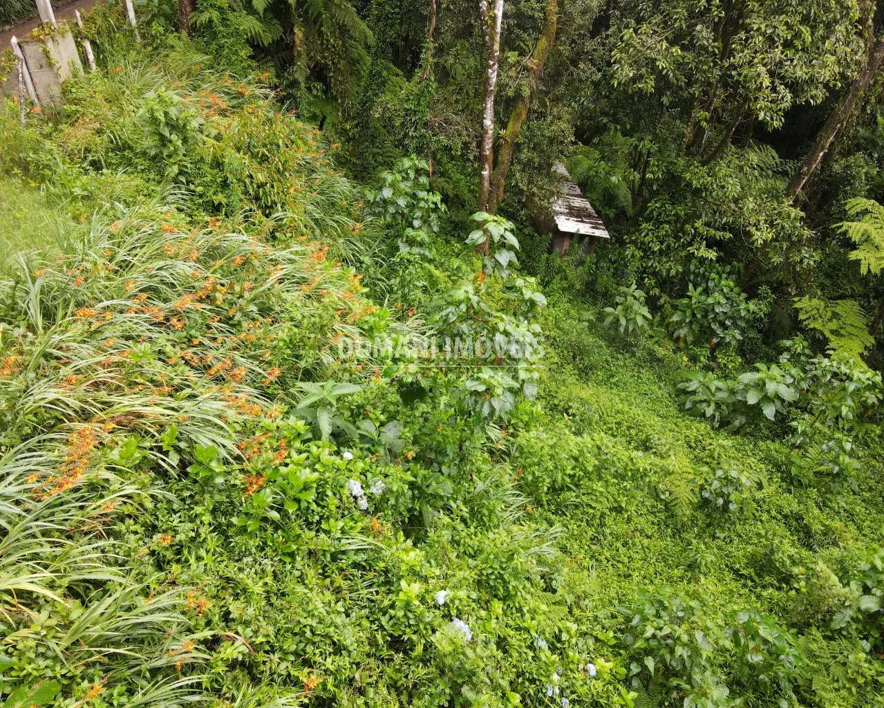Terreno à venda de 1.300 m² em Campos do Jordão, SP, Brasil
