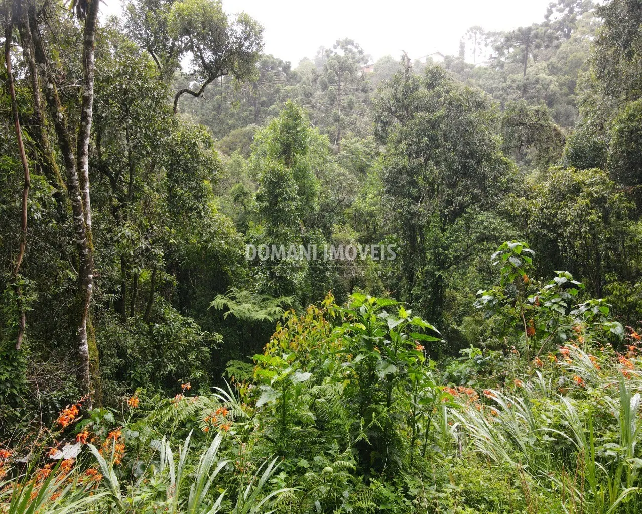 Terreno à venda de 1.300 m² em Campos do Jordão, SP, Brasil