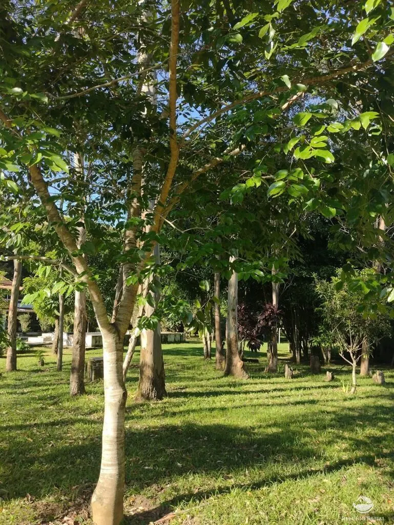 Sítio à venda de 50 ha em Monteiro Lobato, SP, Brasil