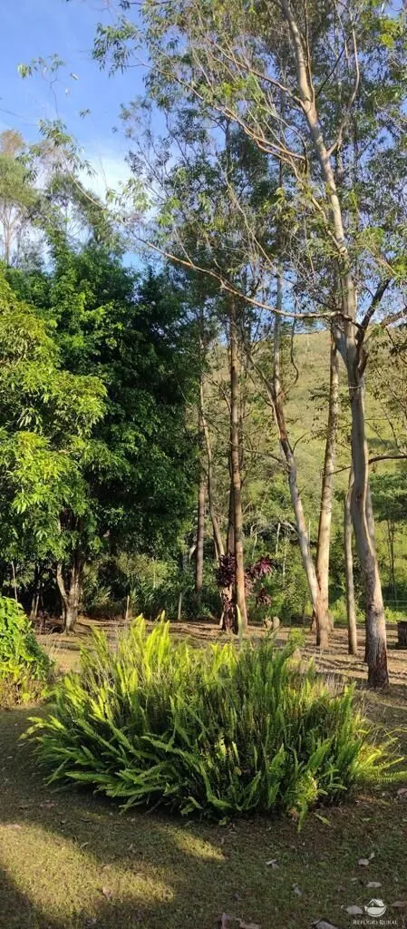 Sítio à venda de 50 ha em Monteiro Lobato, SP, Brasil