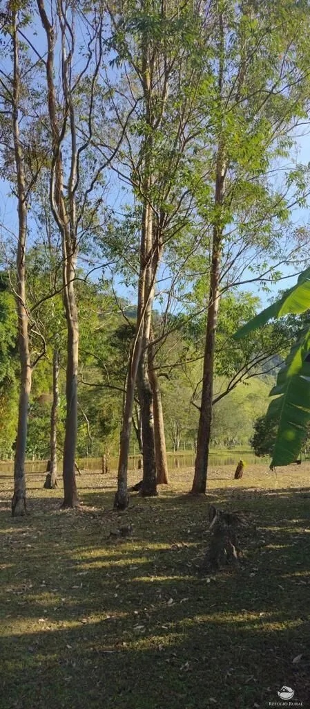 Sítio à venda de 50 ha em Monteiro Lobato, SP, Brasil