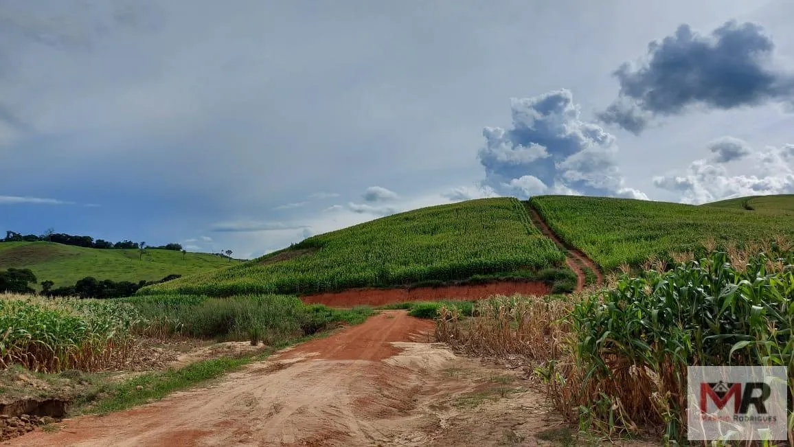Farm for sale of 440 acres in Carmo de Minas, MG, Brazil