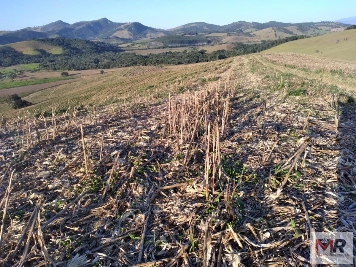 Farm for sale of 440 acres in Carmo de Minas, MG, Brazil