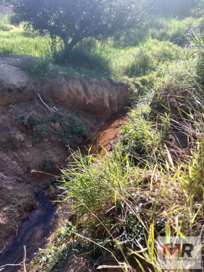 Farm for sale of 440 acres in Carmo de Minas, MG, Brazil