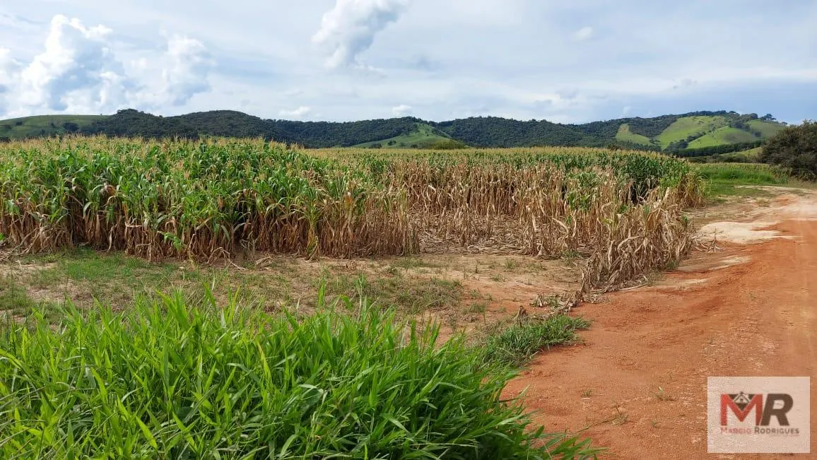 Farm for sale of 440 acres in Carmo de Minas, MG, Brazil