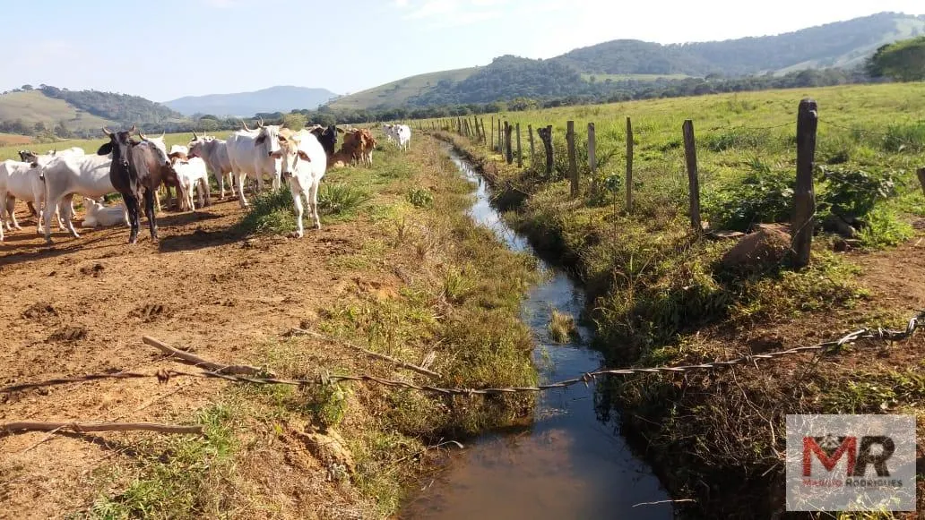 Farm for sale of 440 acres in Carmo de Minas, MG, Brazil