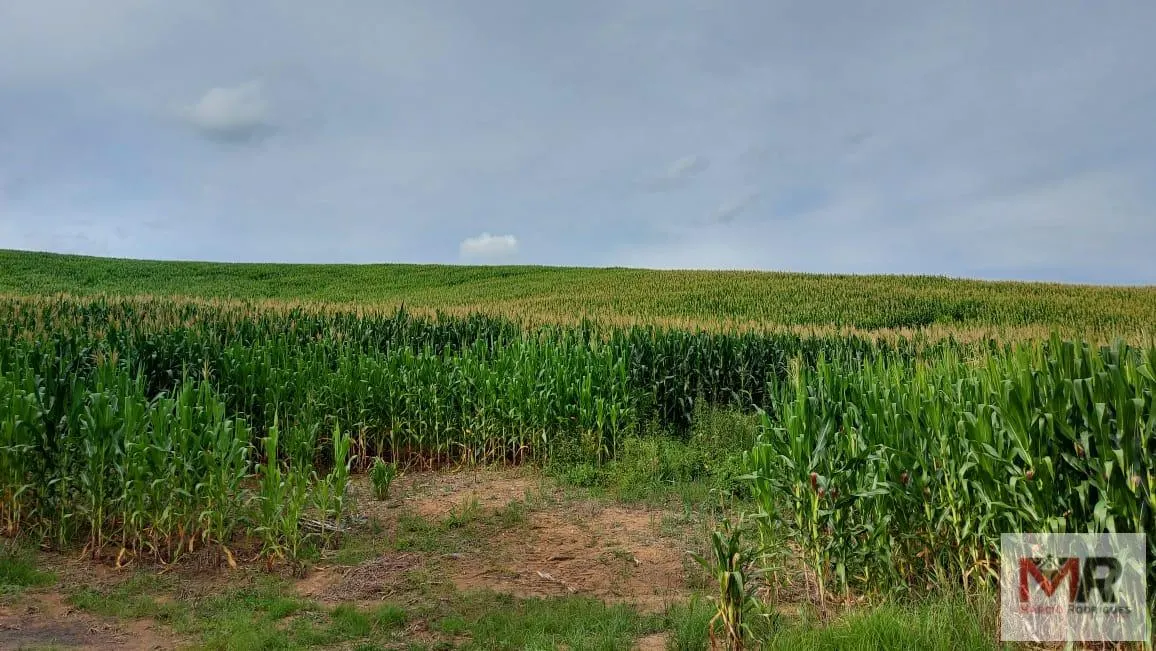 Fazenda à venda de 178 ha em Carmo de Minas, MG, Brasil