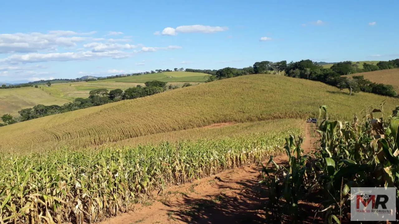 Farm for sale of 440 acres in Carmo de Minas, MG, Brazil