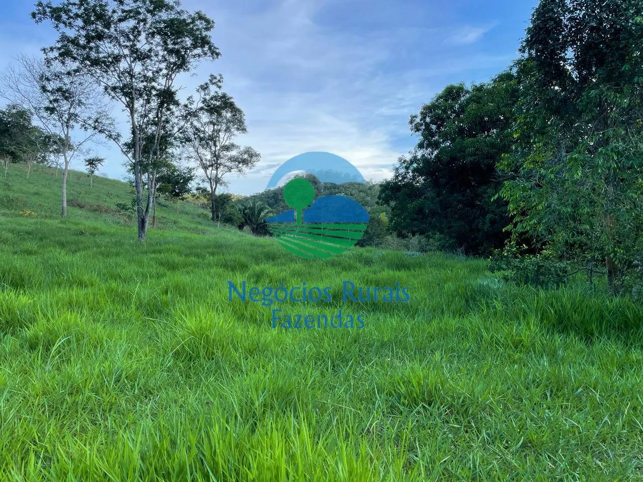 Fazenda à venda de 145 ha em Campinaçu, GO, Brasil