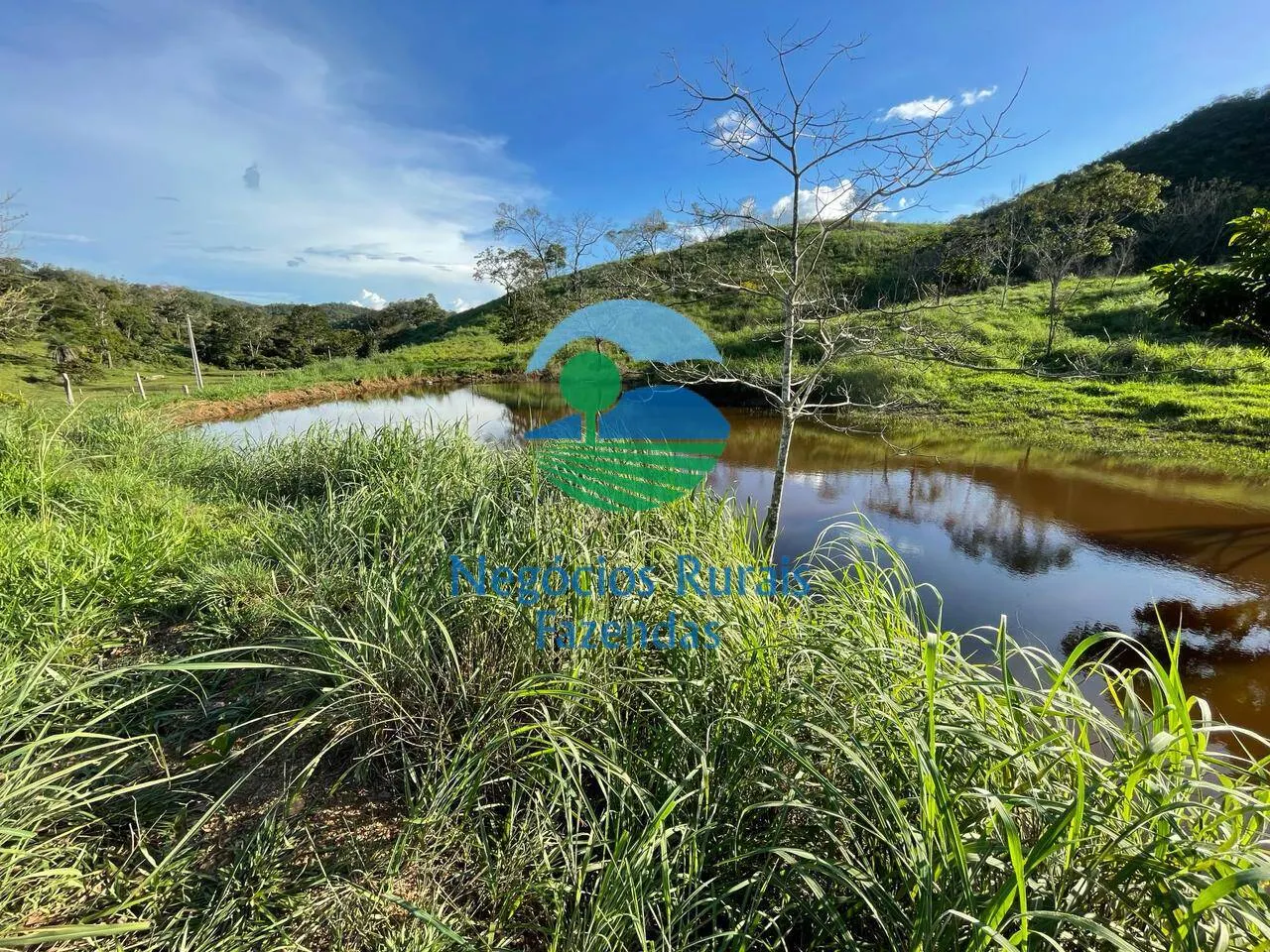 Fazenda à venda de 145 ha em Campinaçu, GO, Brasil